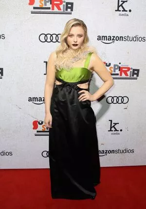 Chloë Grace Moretz / chloegmoretz nude photo #0694