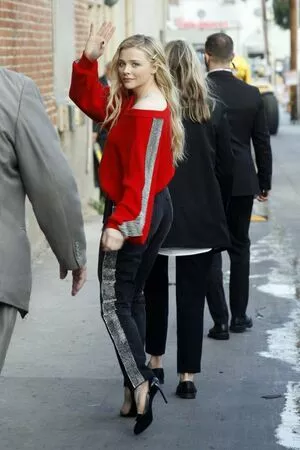 Chloë Grace Moretz / chloegmoretz nude photo #0706