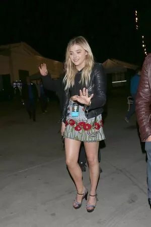 Chloë Grace Moretz / chloegmoretz nude photo #1007