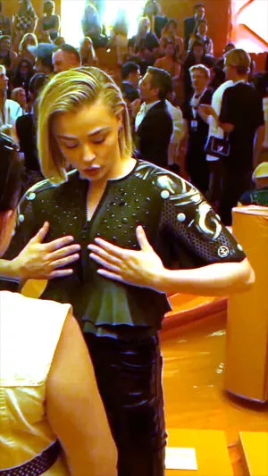 Chloë Grace Moretz / chloegmoretz nude photo #1092