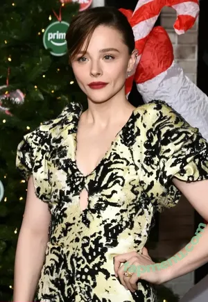 Chloë Grace Moretz / chloegmoretz nude photo #1504