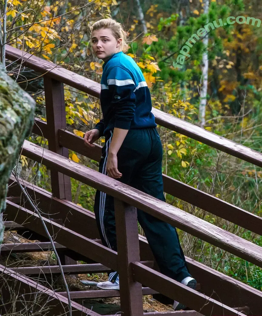 Chloë Grace Moretz nude photo #1424 (chloegmoretz)