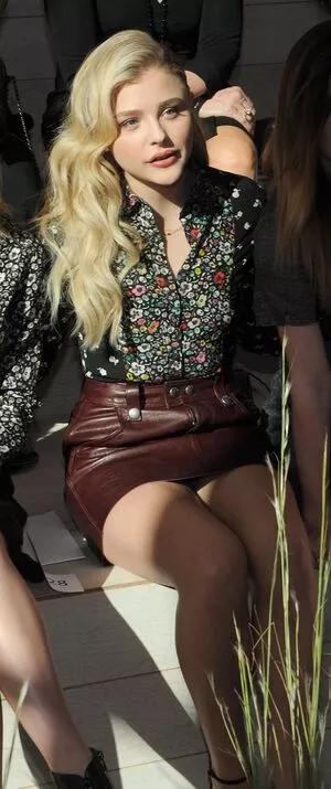 Chloe Grace Moretz / ChloeGMoretz nude photo #0345