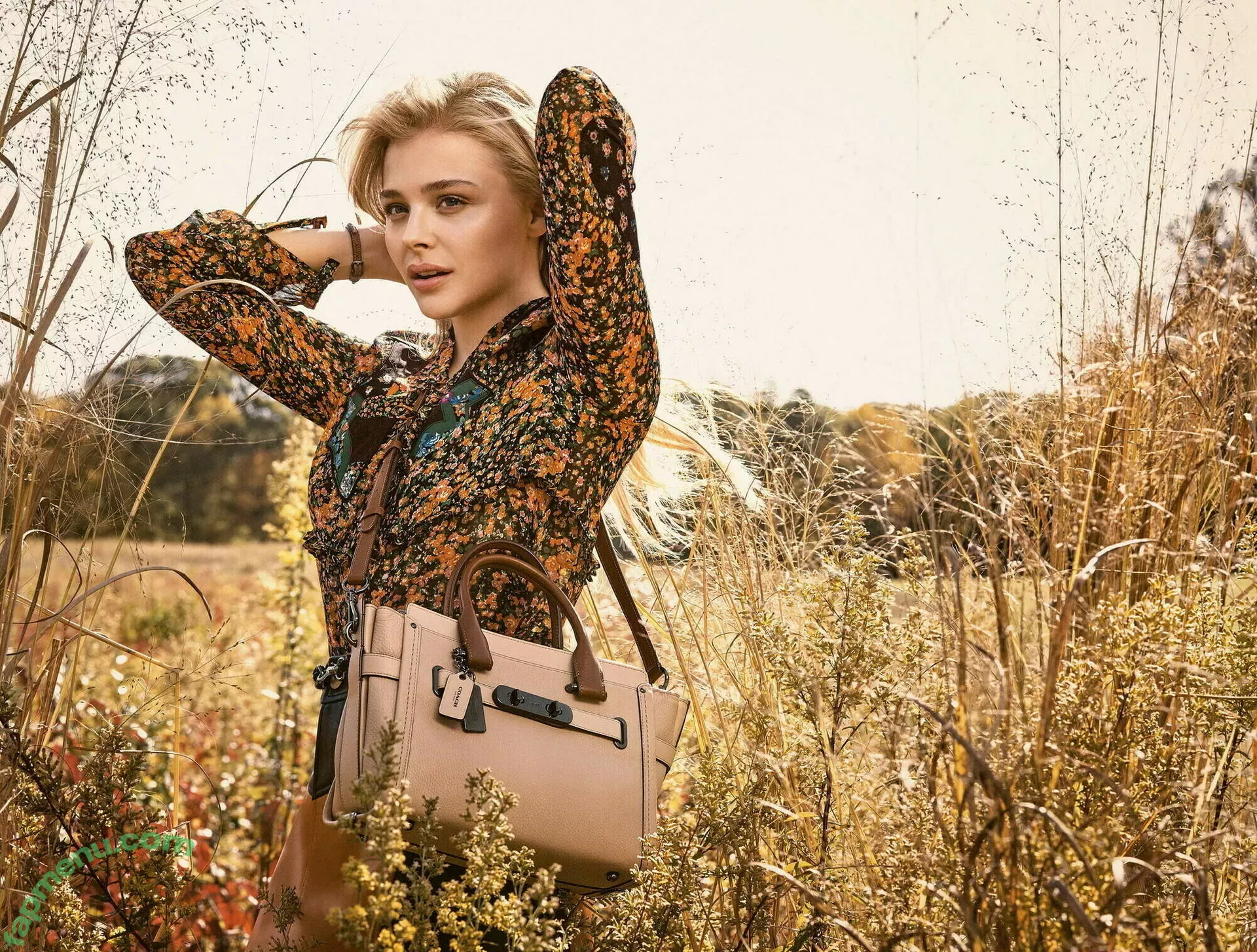 Chloe Grace Moretz nude photo #0093 (ChloeGMoretz)