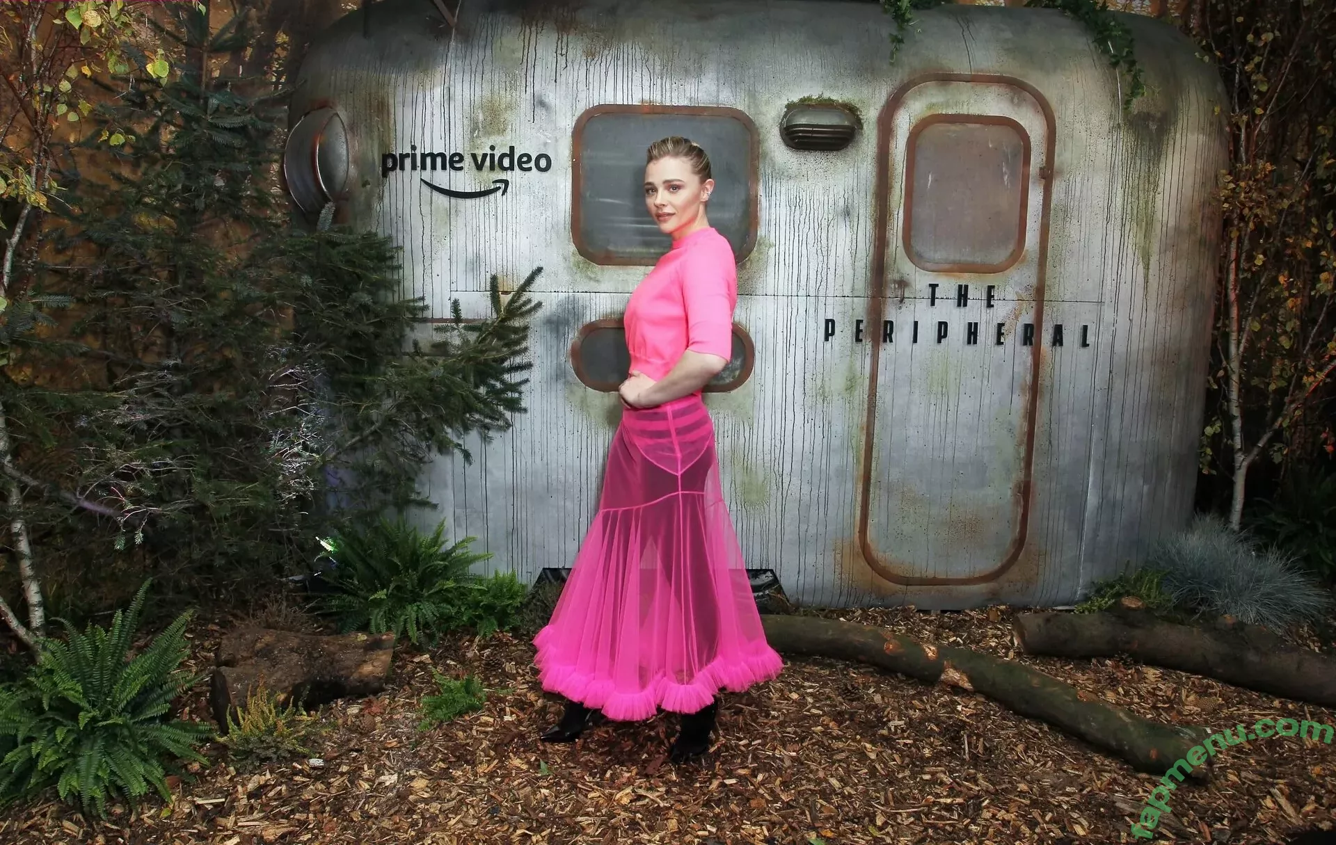 Chloe Grace Moretz nude photo #0313 (ChloeGMoretz)