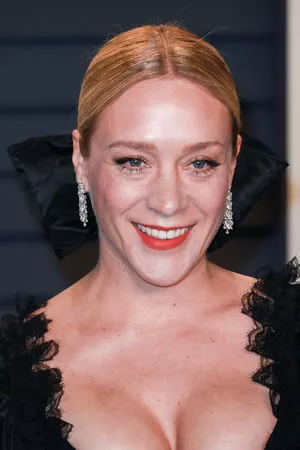 Chloe Sevigny / chloessevigny nude photo #0017