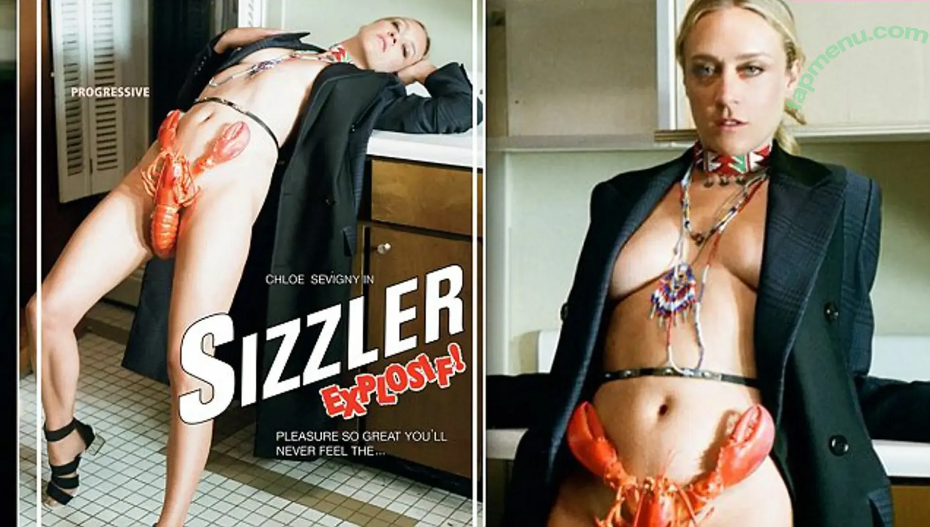 Chloe Sevigny nude photo #0252 (chloessevigny)