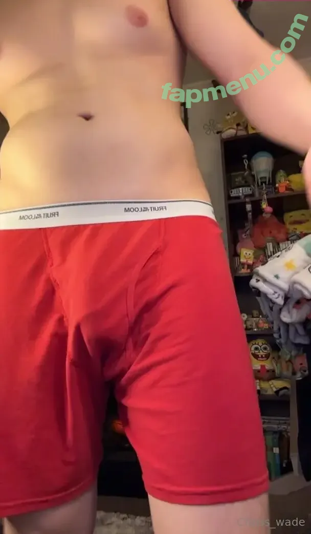 chriss_wade nude photo #0031 (chriss_wade)