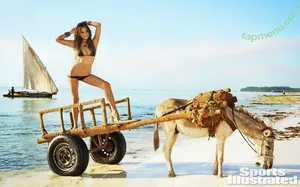 Chrissy Teigen / chrissyteigen nude photo #1013