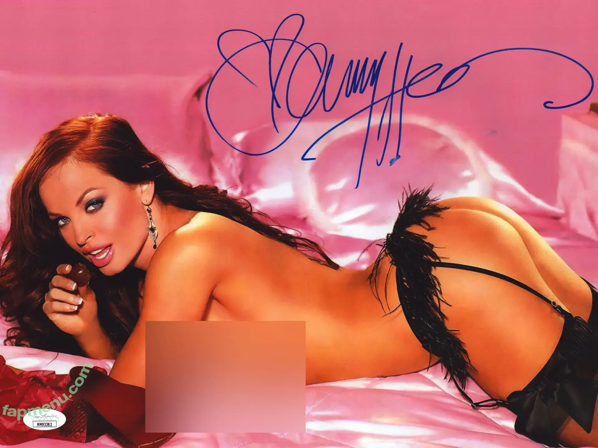 Christy Hemme nude photo #0412 (hemmepowered)