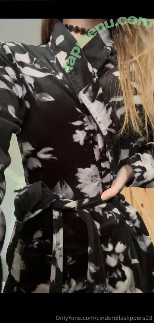 cinderellaslippers03 nude photo #0007 (cinderellaslp)