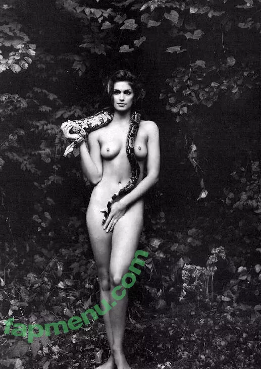 Cindy Crawford nude photo #0071 (cindycrawford / cindycrawfordrealxxx)