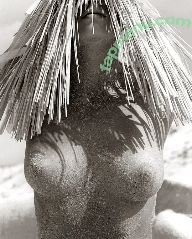 Cindy Crawford nude photo #0455 (cindycrawford)
