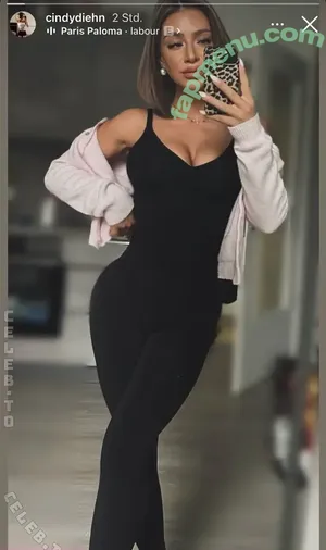 Cindy Diehn / cindydiehn nude photo #0106