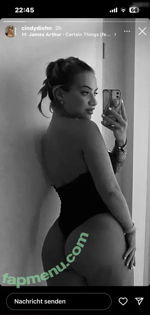 Cindy Diehn nude photo #0008 (cindydiehn)