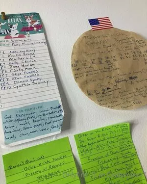 cindymoon7 / cindymoon007 nude photo #0269