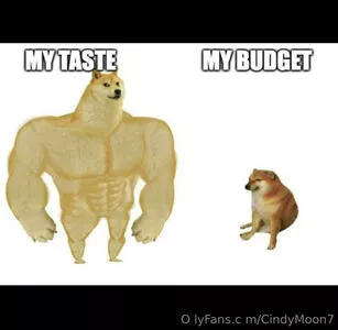 cindymoon7 / cindymoon007 nude photo #0308