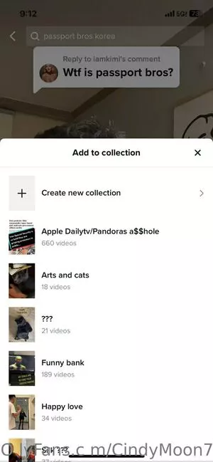 cindymoon7 / cindymoon007 nude photo #0363