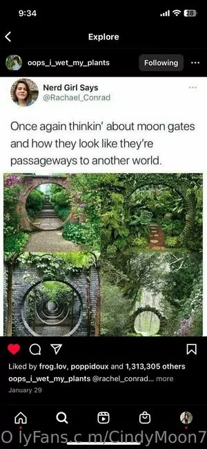 cindymoon7 / cindymoon007 nude photo #0387