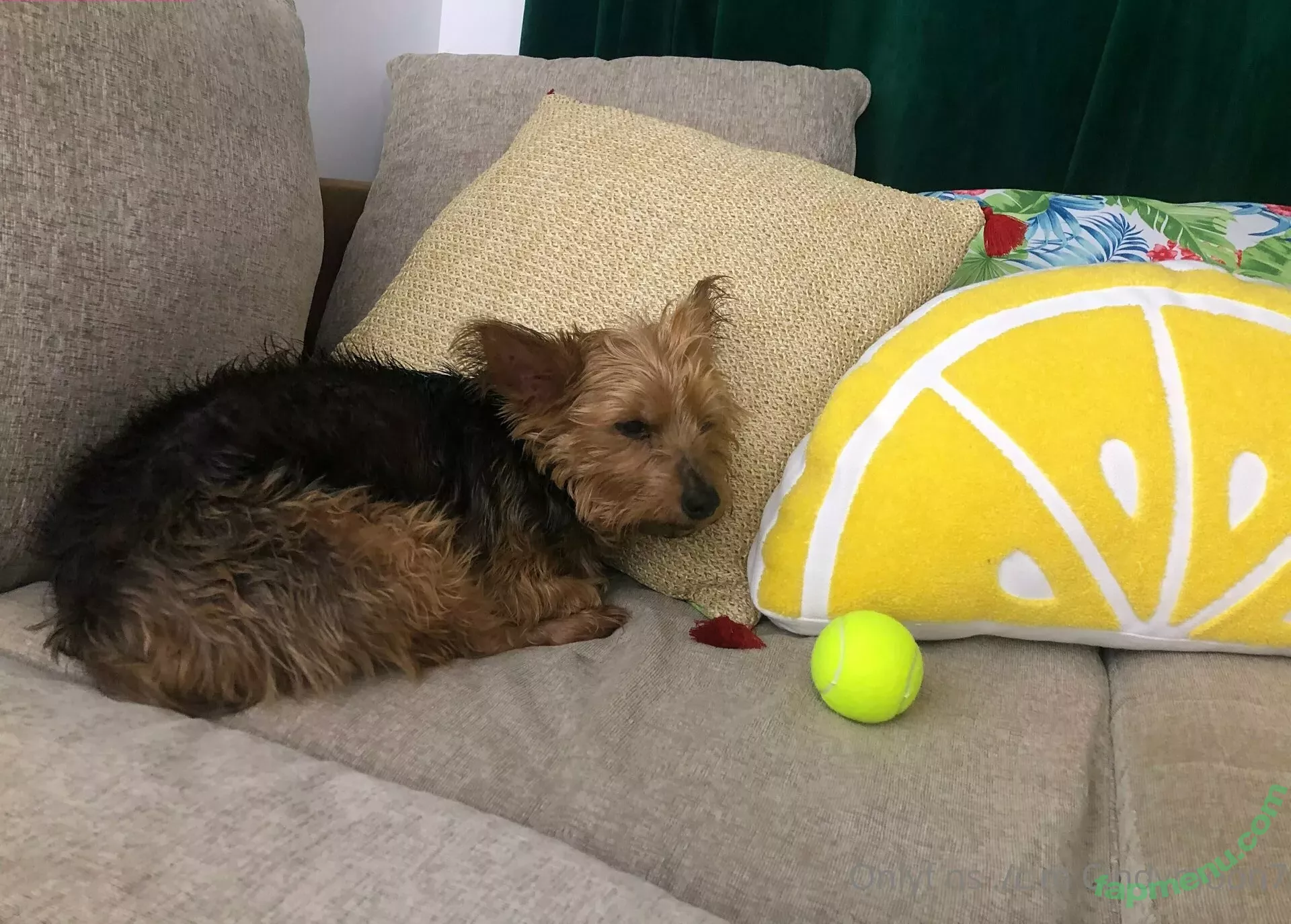 cindymoon7 nude photo #0235 (cindymoon007)