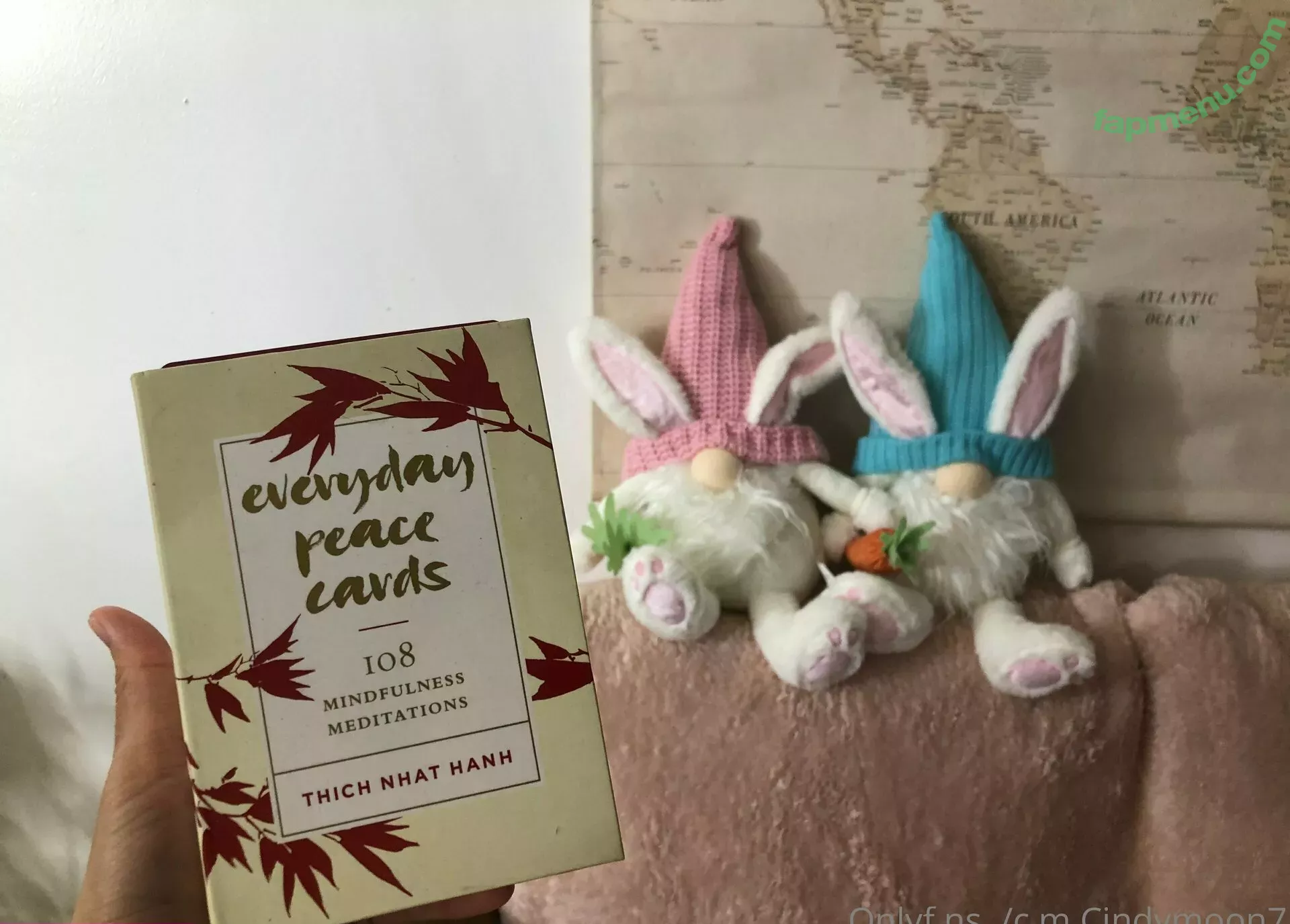 cindymoon7 nude photo #0264 (cindymoon007)