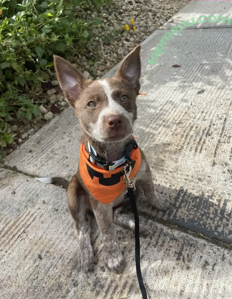 cinnilewds nude photo #0003 (cinnilewds)