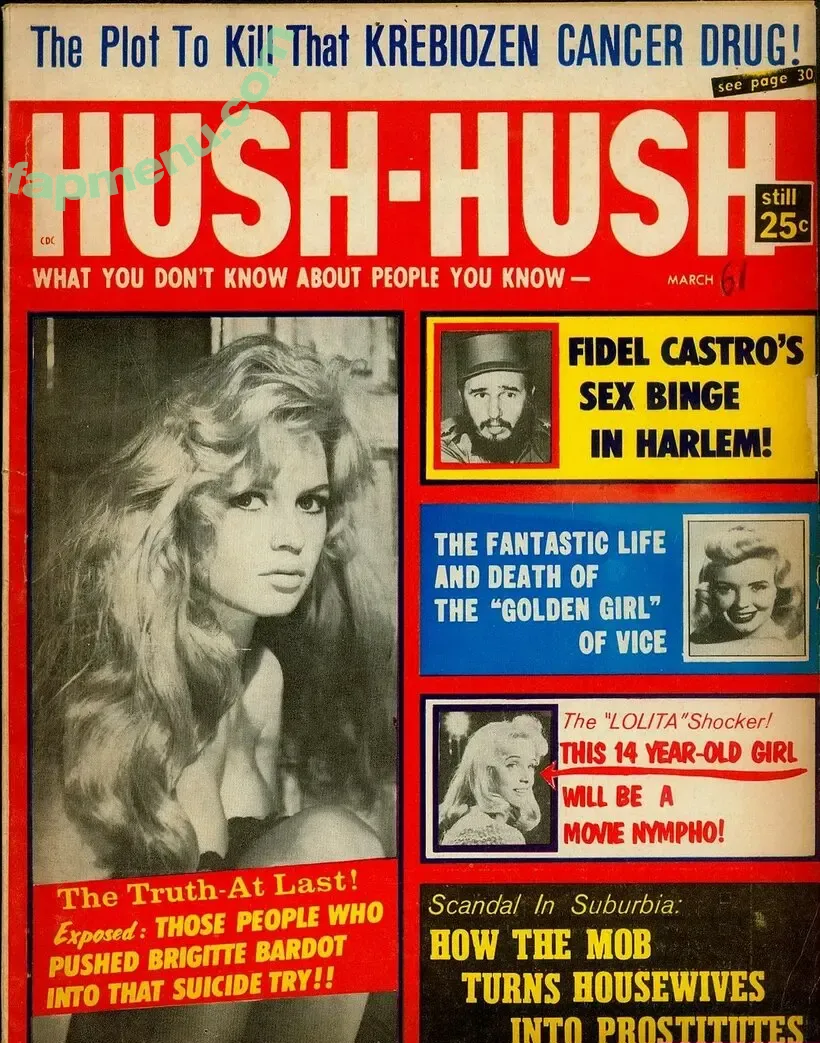 Classic Porn Magazines nude photo #0132 (Classic Porn Magazines)