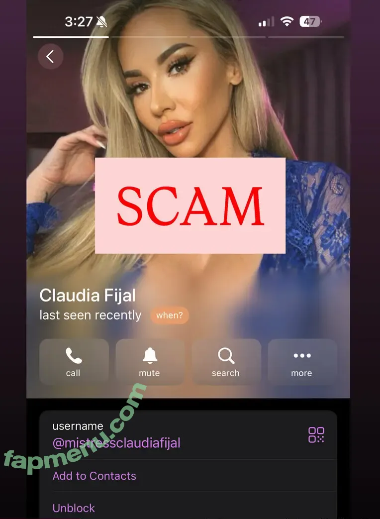 claudiafijalfit nude photo #0007 (theclaudiafijal)