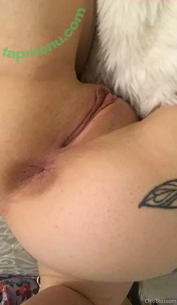 cleoblossom nude photo #0045 (cleoblossomTV / notcleoblossom)