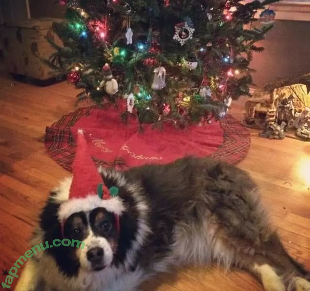 cloverbaltimore nude photo #0002 (clover.baltimore)