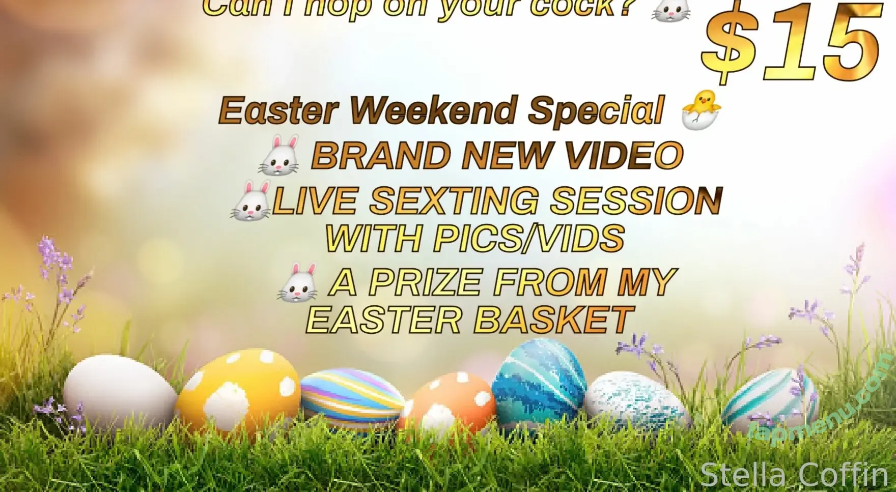 cockswanted nude photo #0080 (realstellahardcore)