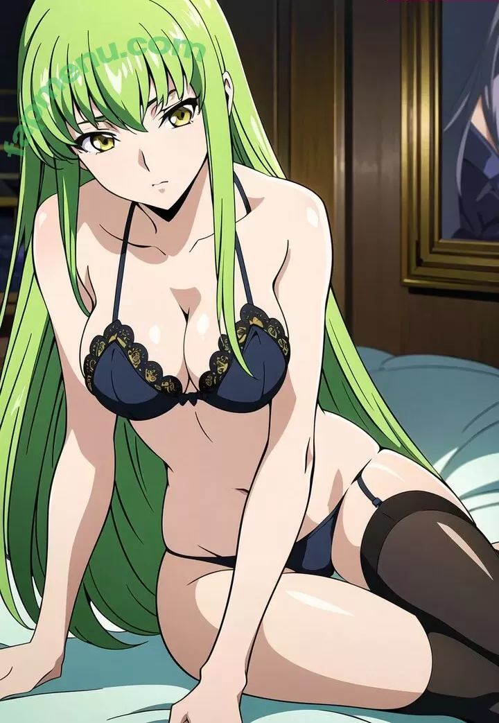 Code Geass nude photo #0099 (code_geass)