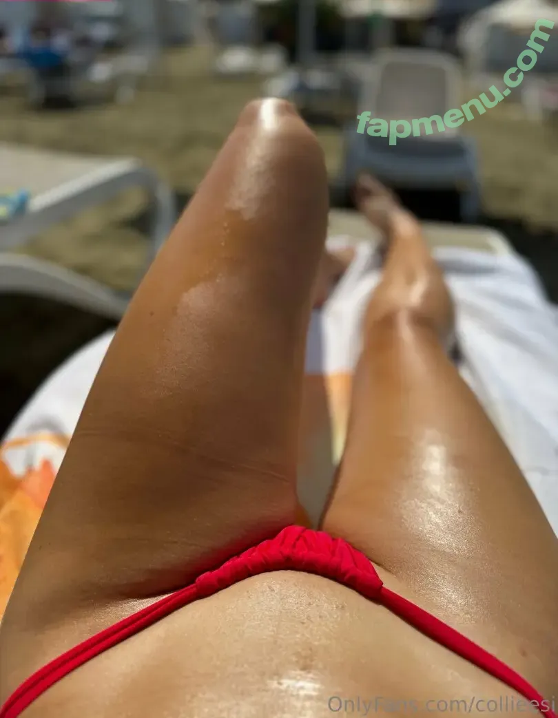 collieesi nude photo #0002 (colleesi11 / collie_twitch)
