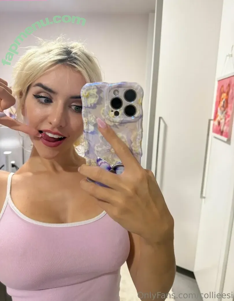 collieesi nude photo #0019 (colleesi11 / collie_twitch)