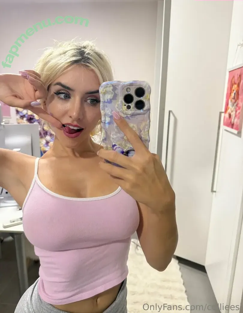 collieesi nude photo #0020 (colleesi11 / collie_twitch)