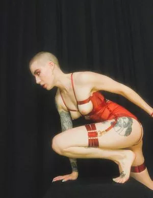 Comicbookgirl19 / DanikaXIX / pirateflagnislandgirl nude photo #0360