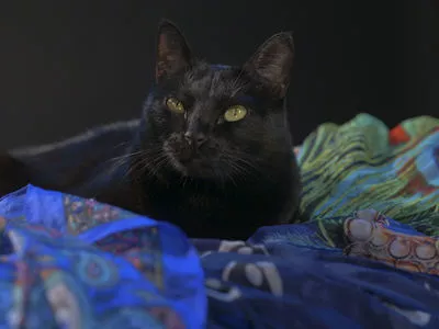 Comicbookgirl19 / DanikaXIX / pirateflagnislandgirl nude photo #0417