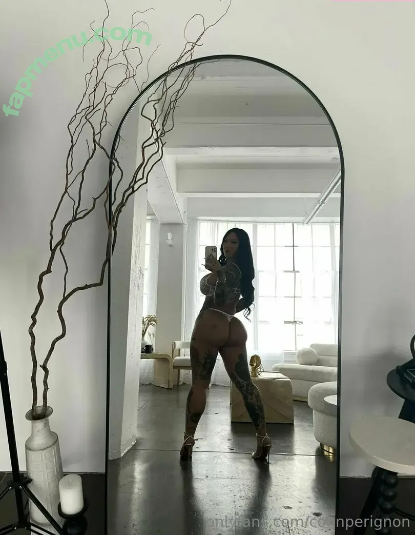 connperignon nude photo #0005 (notconnieperignon)