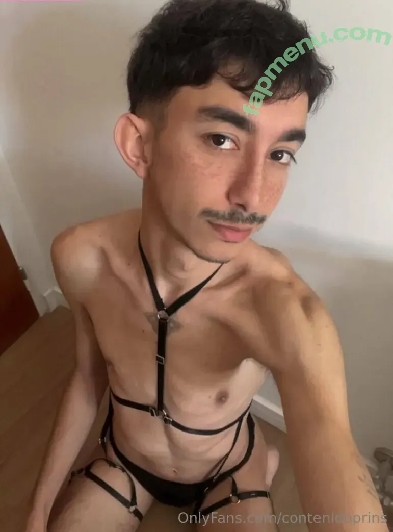 contenidoprins nude photo #0156 (theprinceandthep)