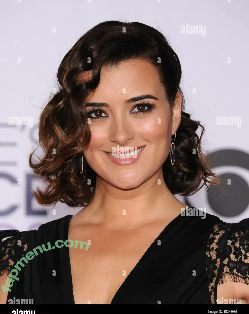 Cote De Pablo nude photo #0055 (cote.de.pablo)