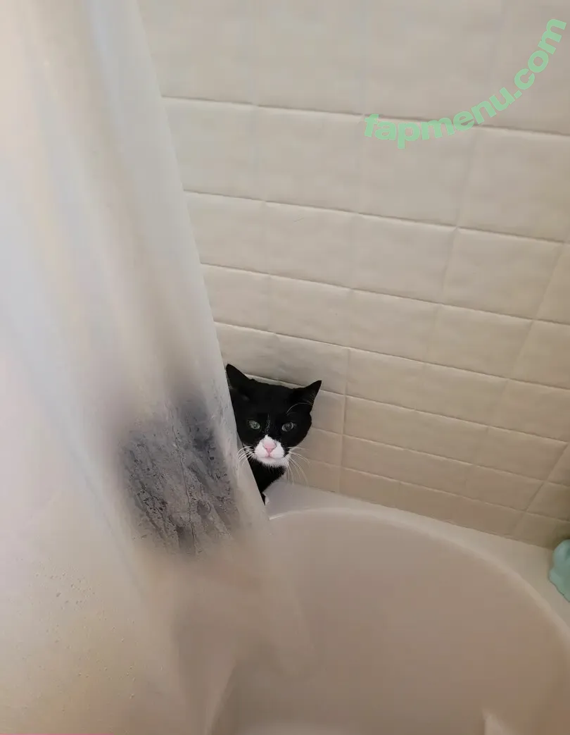 CougarQueen777 nude photo #0012 (CougarQueen777)