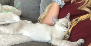 Courtney Knill / courtneyknill / courtneyknillusa nude photo #0071