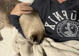 Courtney Knill / courtneyknill / courtneyknillusa nude photo #0084