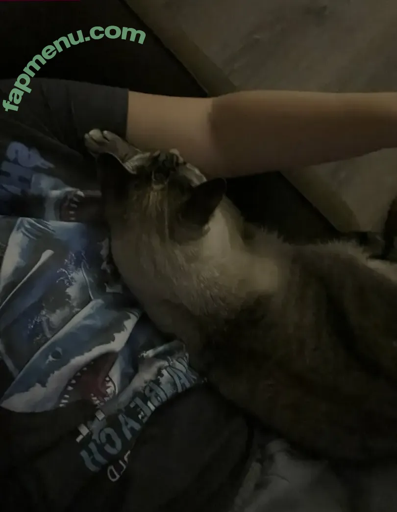 Courtney Knill nude photo #0078 (courtneyknill / courtneyknillusa)