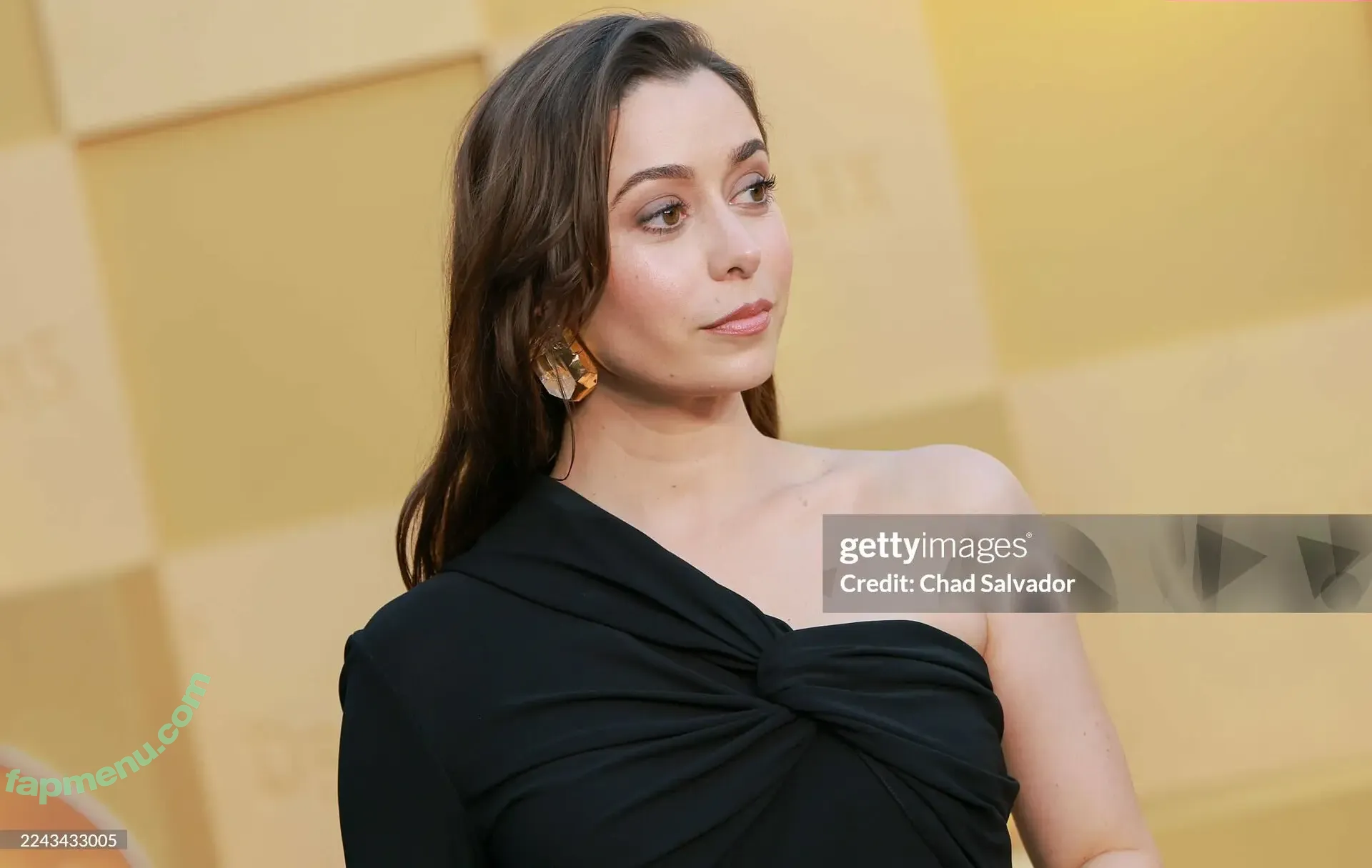 Cristin Milioti nude photo #0329 (cristinmilioti)