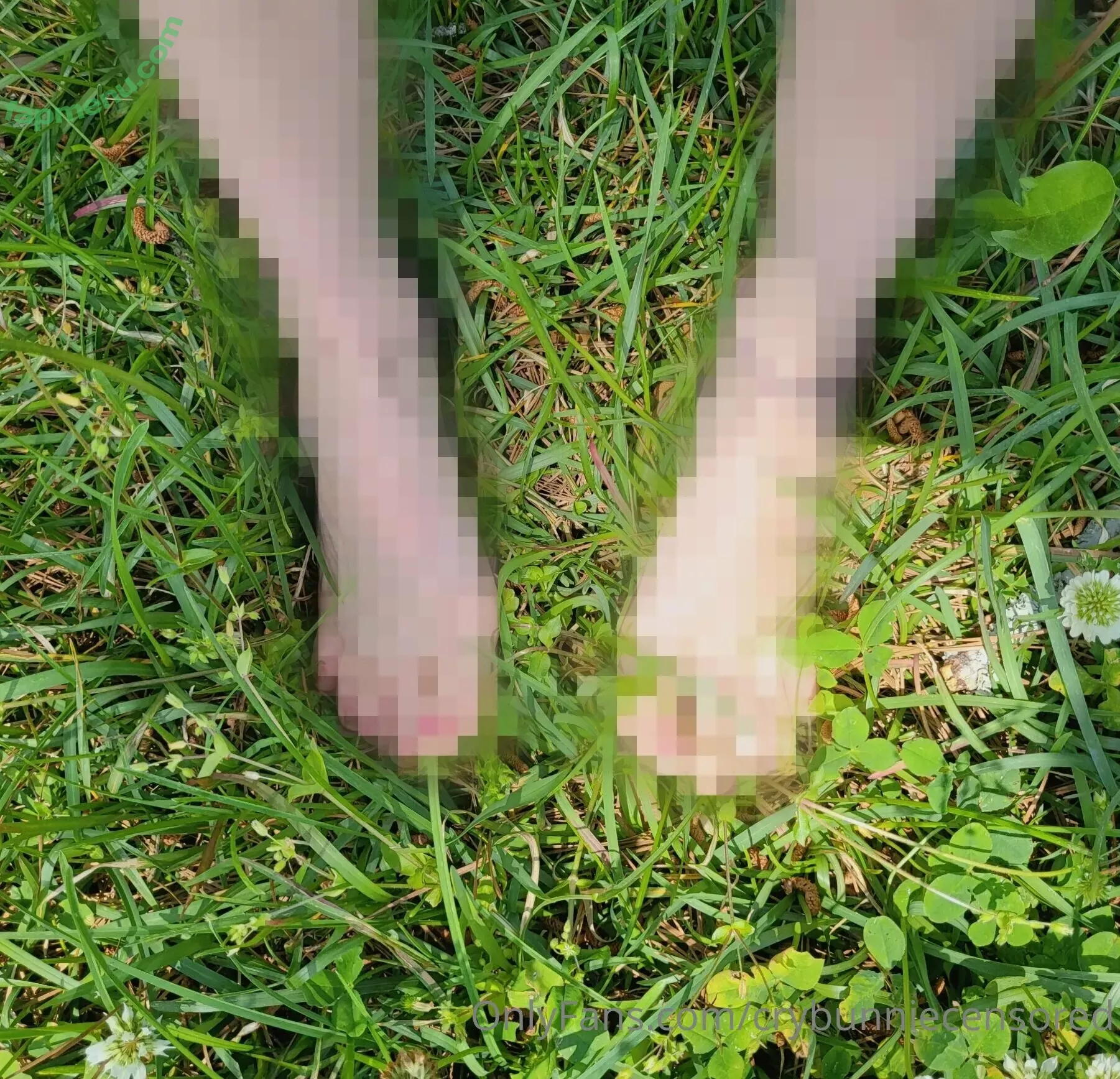 crybunniecensored nude photo #0012 (crybunnie / crybunniex)