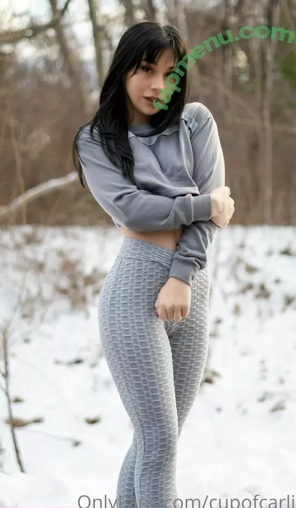 cupofcarli nude photo #0447 (cuppycarli)