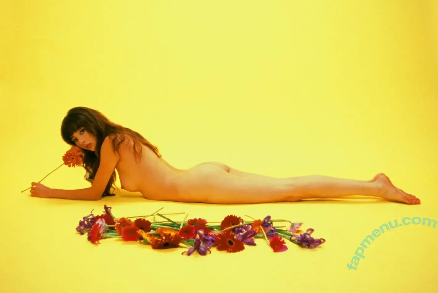 Daddylonglegs nude photo #0012 (Steph Angulo / dadddylonglegs / officialdaddylonglegs)