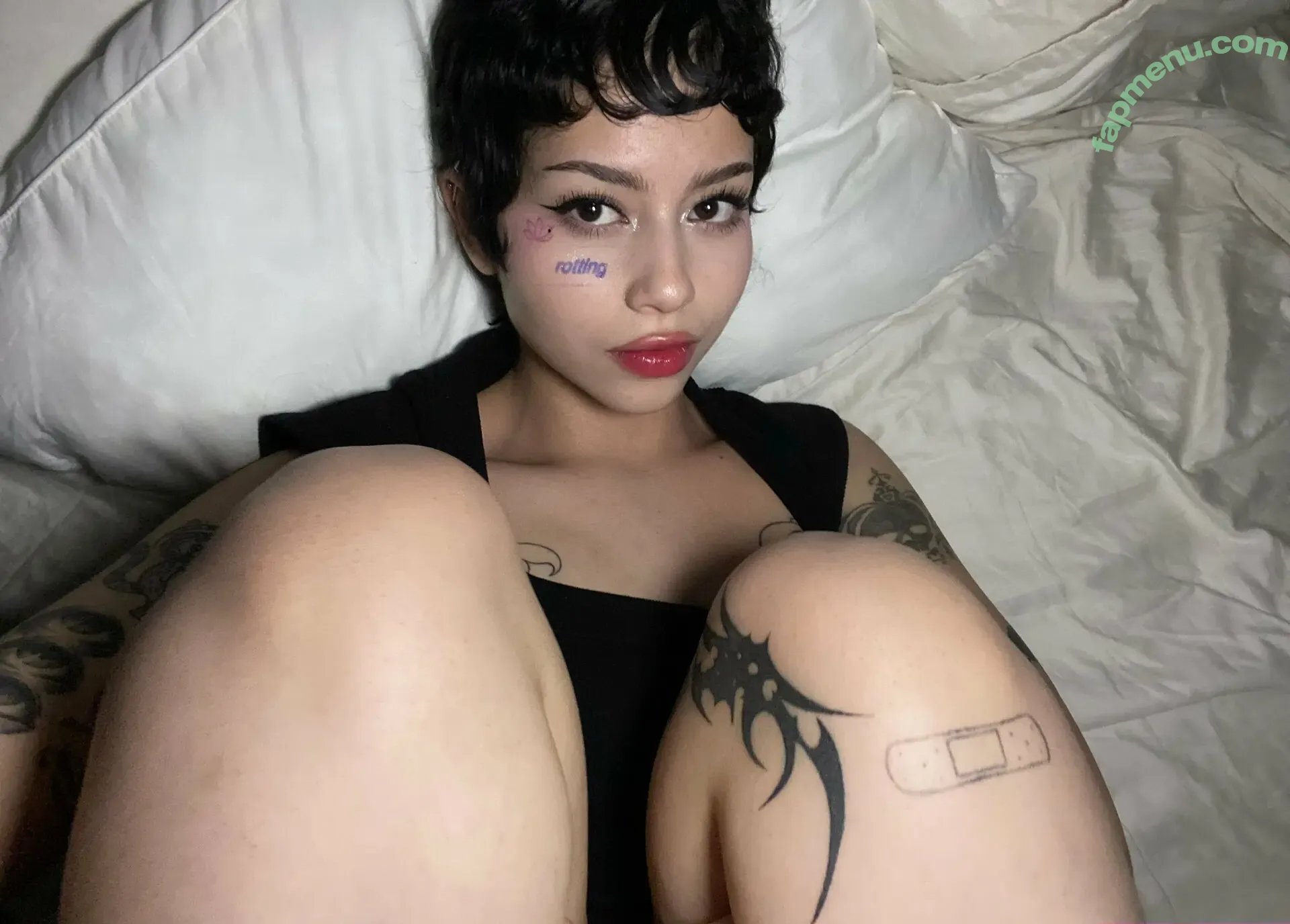 Daisyrot nude photo #0223 (Daisyrot08)