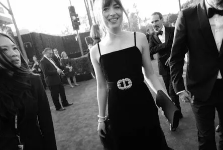 Dakota Johnson / dakotajohnson / isDakotaJohnson nude photo #0474